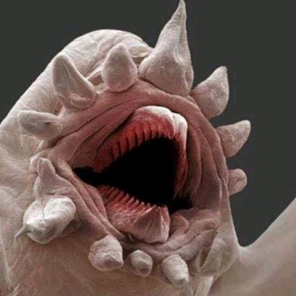 Meet your Posher, Mckensey - Picture 1 of 1